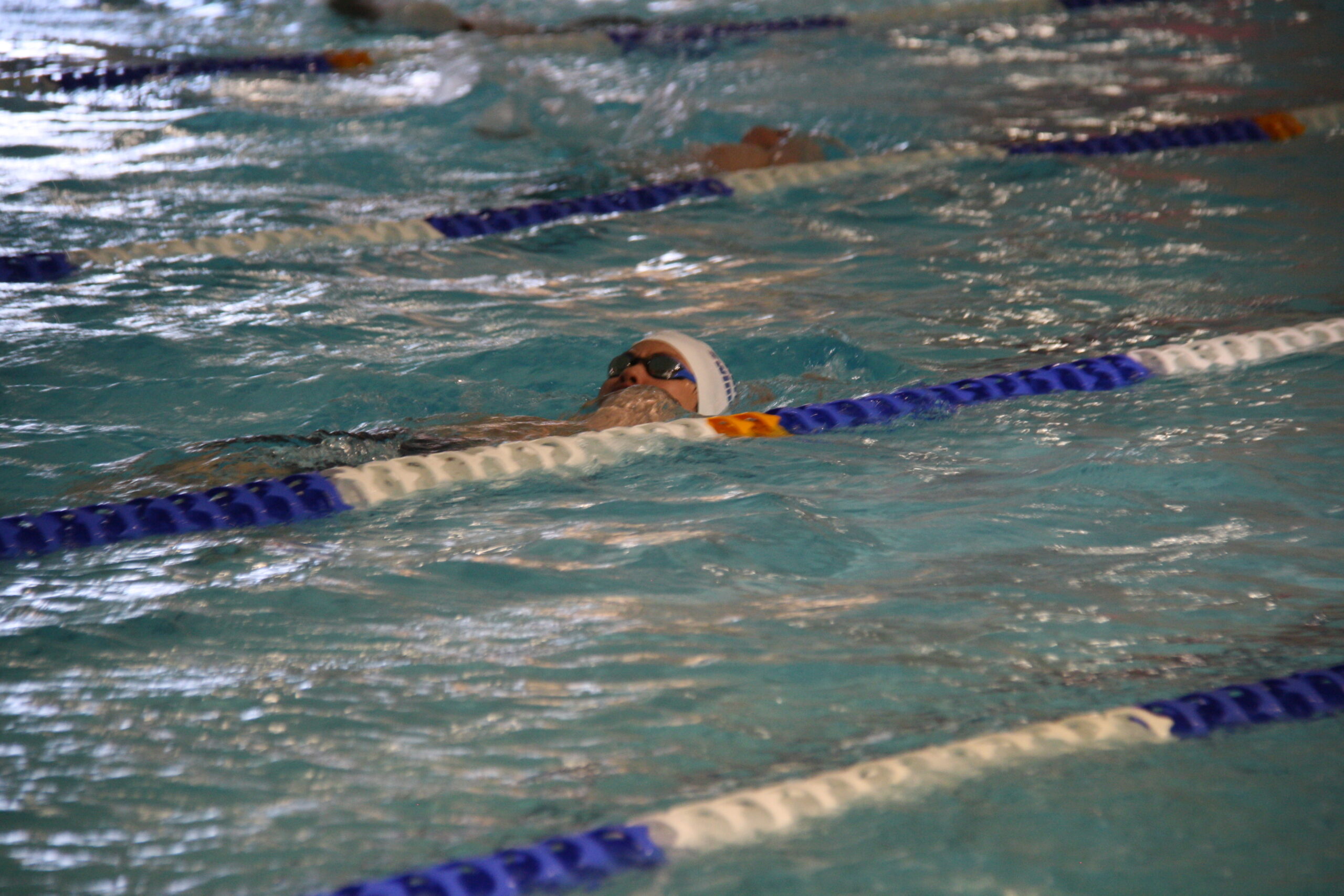 IMG_6133 https://harrowswim.com/wp-content/uploads/2026/07/IMG_6133-scaled.jpg